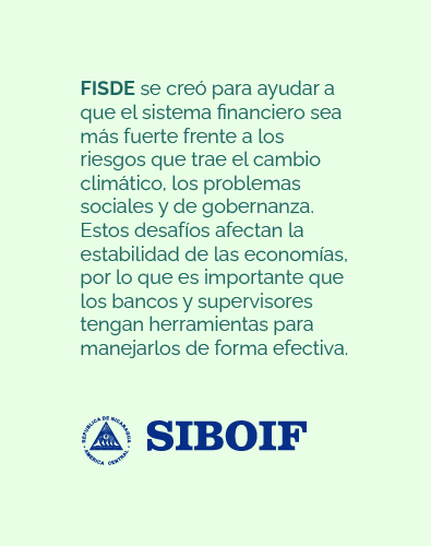 banner_web_fisde_-_estabilidad_ambiental-04.png
